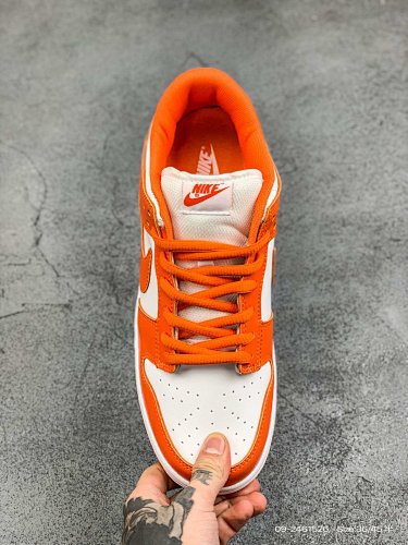Dunk Low Pro Zoomair